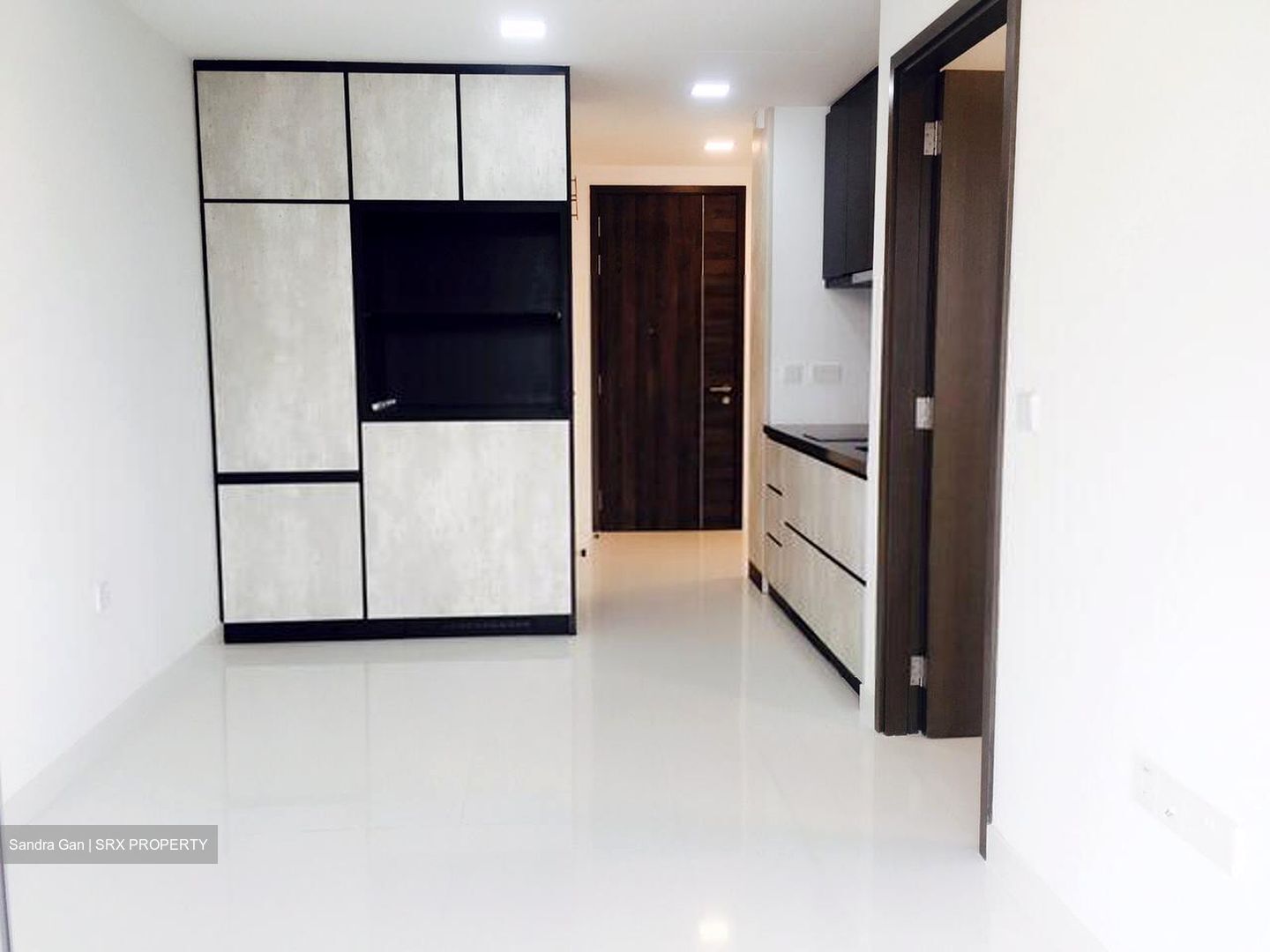 The Rise @ Oxley (D9), Condominium #577825251